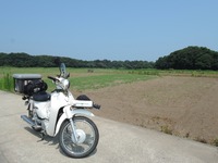 DSCN8735-1