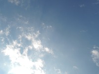 DSCN3903-1