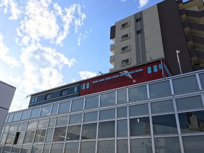 46IMG_6289