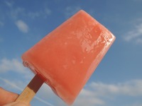 DSCN9620