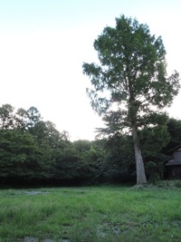 DSCN8878-1