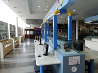 DSCN6459