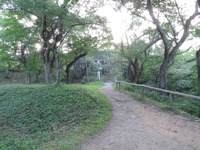 DSCN8880-1