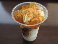 DSCN7270