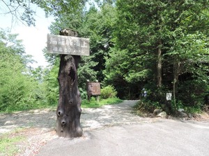 DSCN8851-1