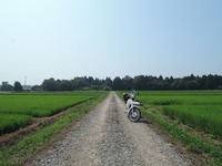 DSCN8734-1