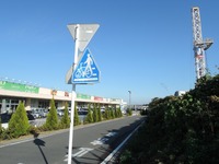 DSCN4185