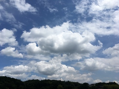 17/06/01高倉町珈琲みなみ野店01