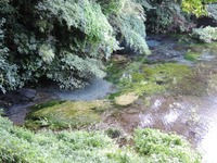 DSCN3187-1