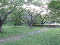 DSCN8877-1