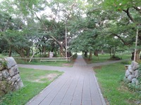 DSCN8884-1