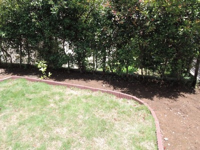16DSCN0567