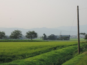 DSCN8645-1
