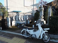 信松院のお地蔵さん 02