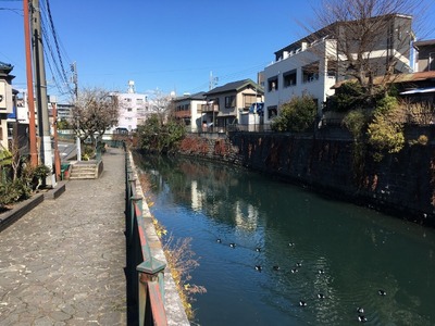 17/03/03ファットン 04