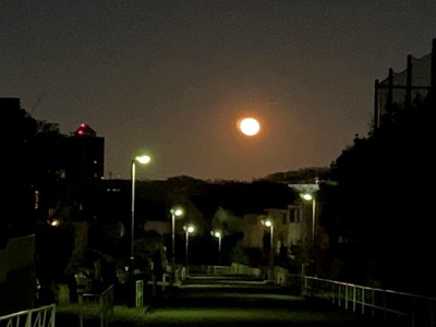 IMG_7983