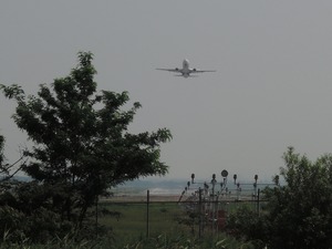 DSCN8729-1