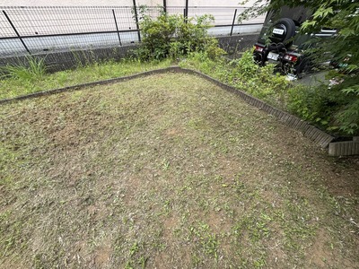 IMG_1116