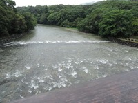 DSCN3230-1