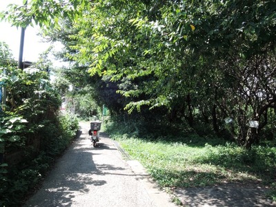 DSCN1072-1