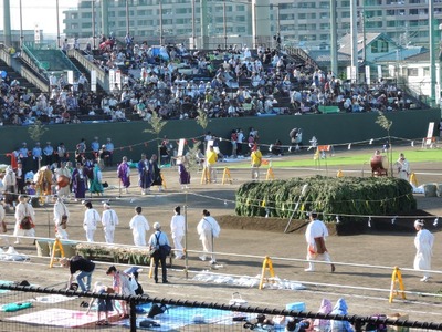 DSCN0683