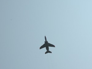 DSCN8732-1