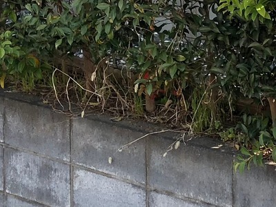 08IMG_1707-1