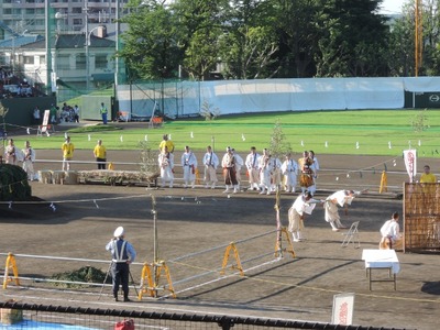 DSCN0685