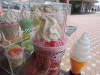 DSCN8759-1