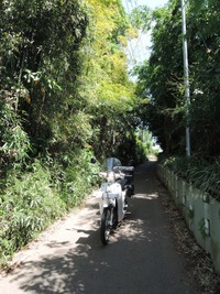 DSCN7250