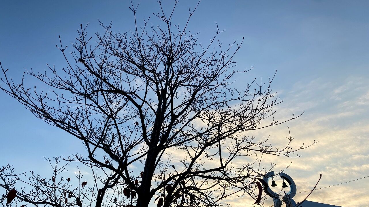 凜とした冬の夕暮れ 友達の詩 中村中 きよすけの悠々備忘録 凜とした冬の夕暮れ 友達の詩 中村中 きよすけの悠々備忘録