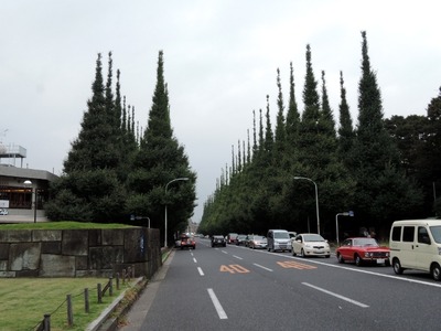DSCN1109