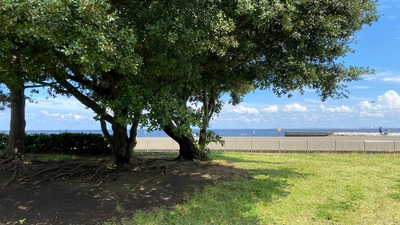 IMG_2001