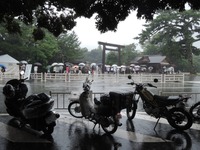 DSCN3226-1
