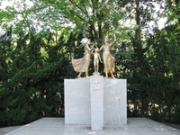 DSCN7268