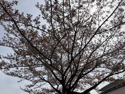 19IMG_8073