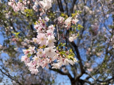 19IMG_8014