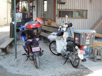 DSCN5163