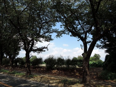 DSCN1077-1