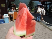 DSCN8595-1