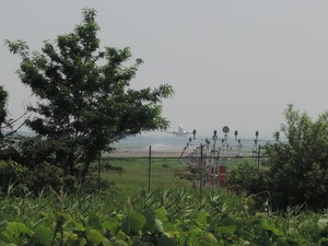 DSCN8728-1