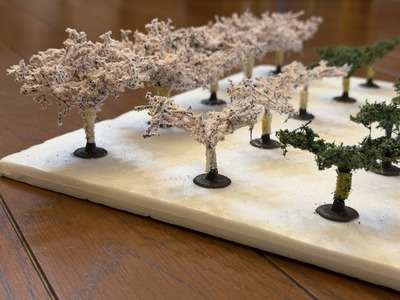 30IMG_8086