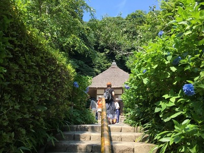 43IMG_2282