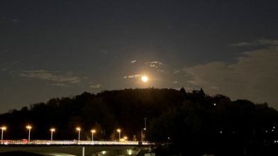 IMG_6915