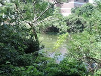 DSCN3184-1