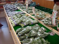 農産物直売所ねぎぼうず 店内3