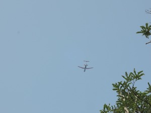 DSCN8724-1