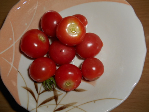 DSCN0046