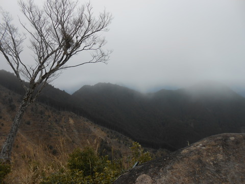 DSCN7681
