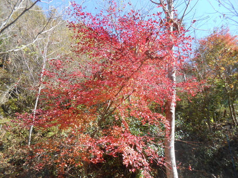 DSCN8802